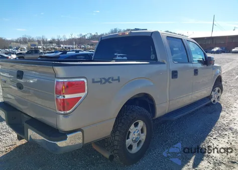 2010 Ford F-150 Xl/Xlt from USA, damaged, VIN 1FTEW1E88AFB29238